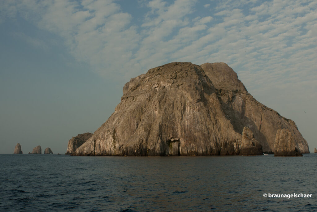 Malpelo